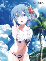 Post 4191033