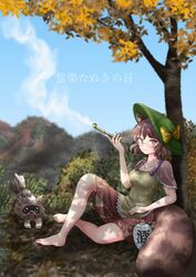Post 4195730