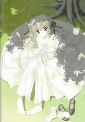 Post 403098