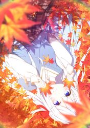 Post 4225683