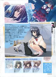 Post 405778