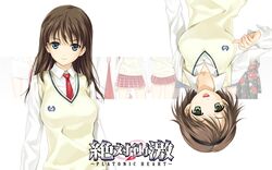 Post 405416