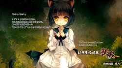 Post 4247474