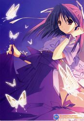 Post 406894