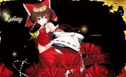 Post 4255738