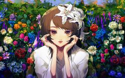 Post 4257118