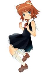 Post 407981