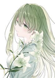 Post 4268288