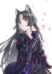 Post 4268645