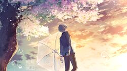Post 4273020