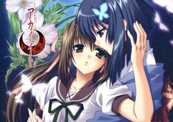 Post 409071