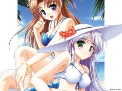 Post 40997
