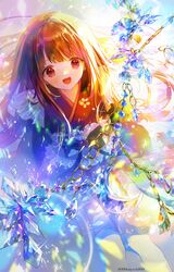 Post 4290543