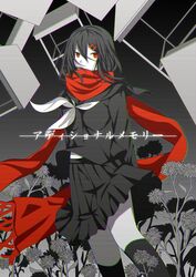Post 4297541