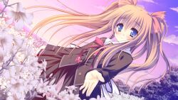 Post 6270592