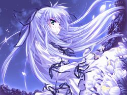 Post 6321059