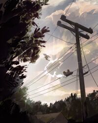 Post 6370908