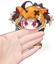 Post 6370494