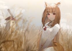 Post 6507405