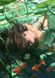 Post 6509205