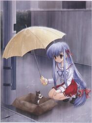 Post 415739