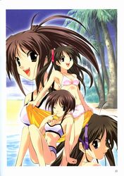 Post 415665