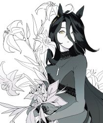 Post 6704359