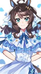 Post 6733118