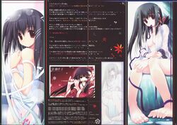 Post 416701