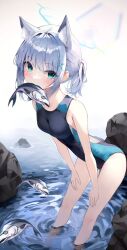 Post 6909352