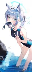 Post 6909358