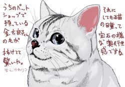 Post 6906849