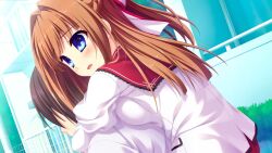 Post 6951431