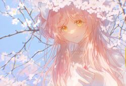 Post 4351043