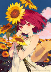 Post 6960945