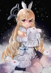 Post 4367161