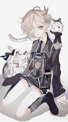 Post 4371617