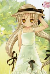 Post 419064