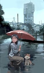 Post 4385825