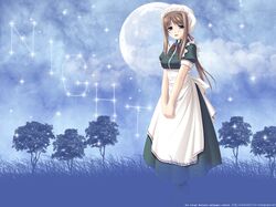 Post 41376
