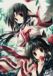 Post 422186