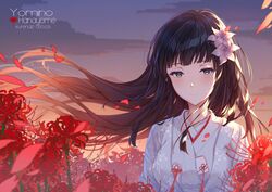 Post 4433255