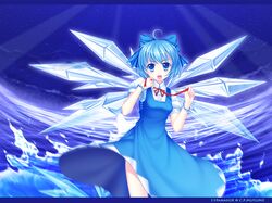 Post 425671