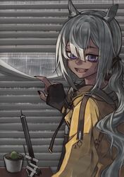 Post 4440831