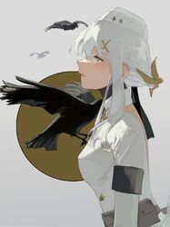 Post 4461005