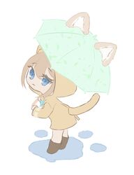 Post 4462389