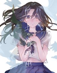 Post 4466807