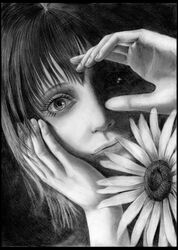 Post 428122
