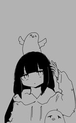 Post 4475658