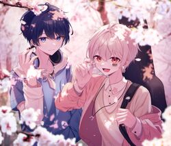 Post 4479411
